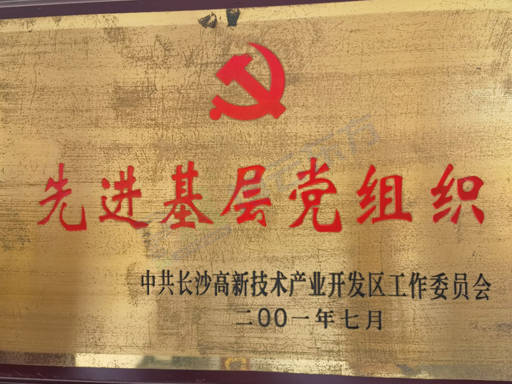 先進(jìn)基礎(chǔ)黨組織